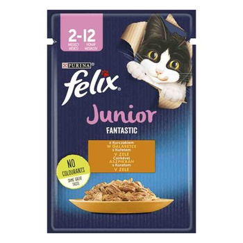 FELIX FANTASTIC JUNIOR KURCZAK 85G