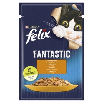 FELIX FANTASTIC KURCZAK 85G