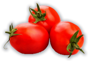 Pomidor kl.I KG